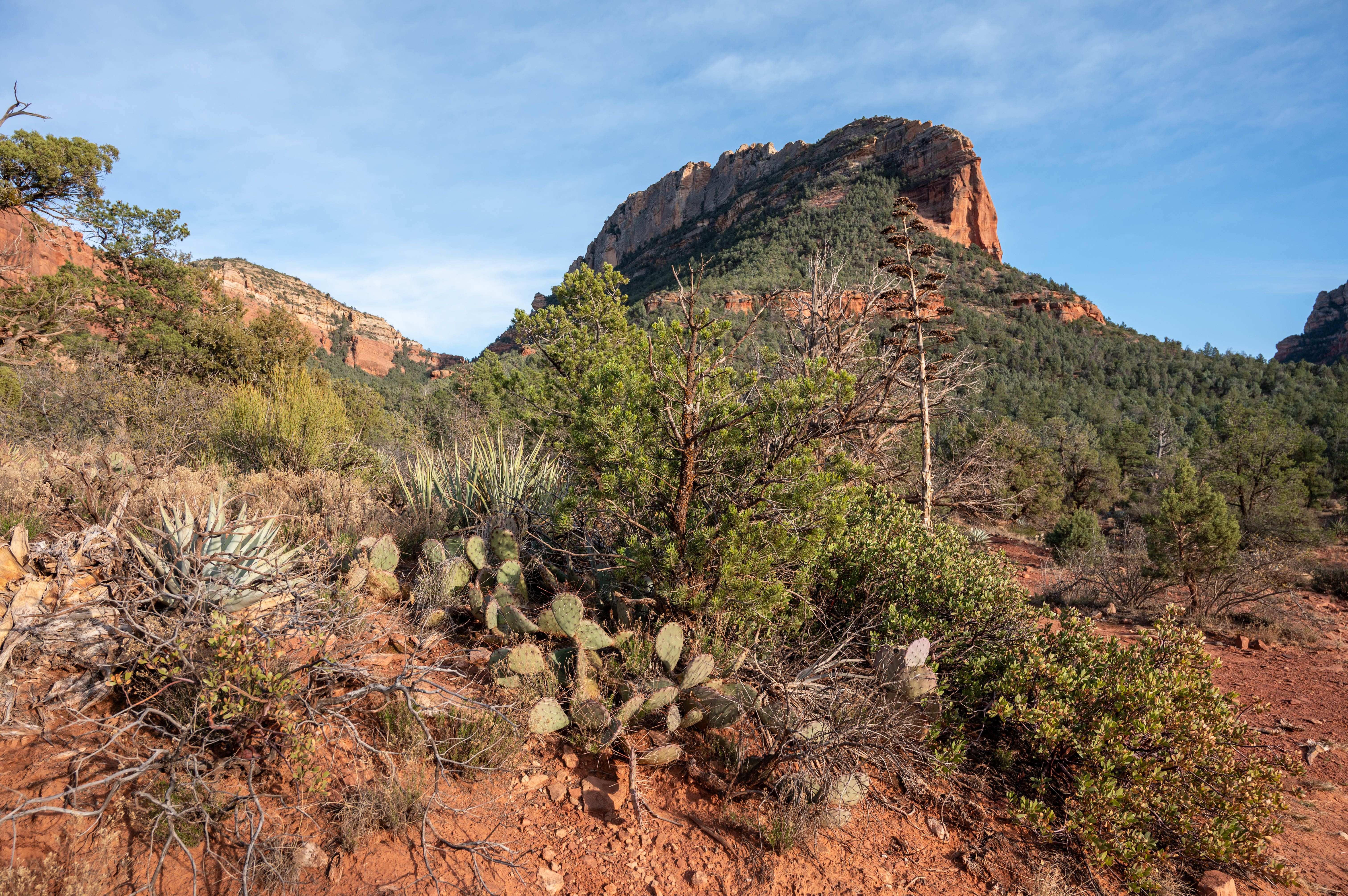3 Day Shamanic Group Retreat in Sedona, AZ, USA 3