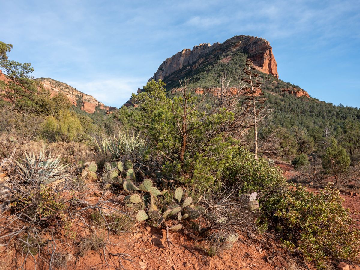 3 Day Shamanic Group Retreat in Sedona, AZ, USA 3