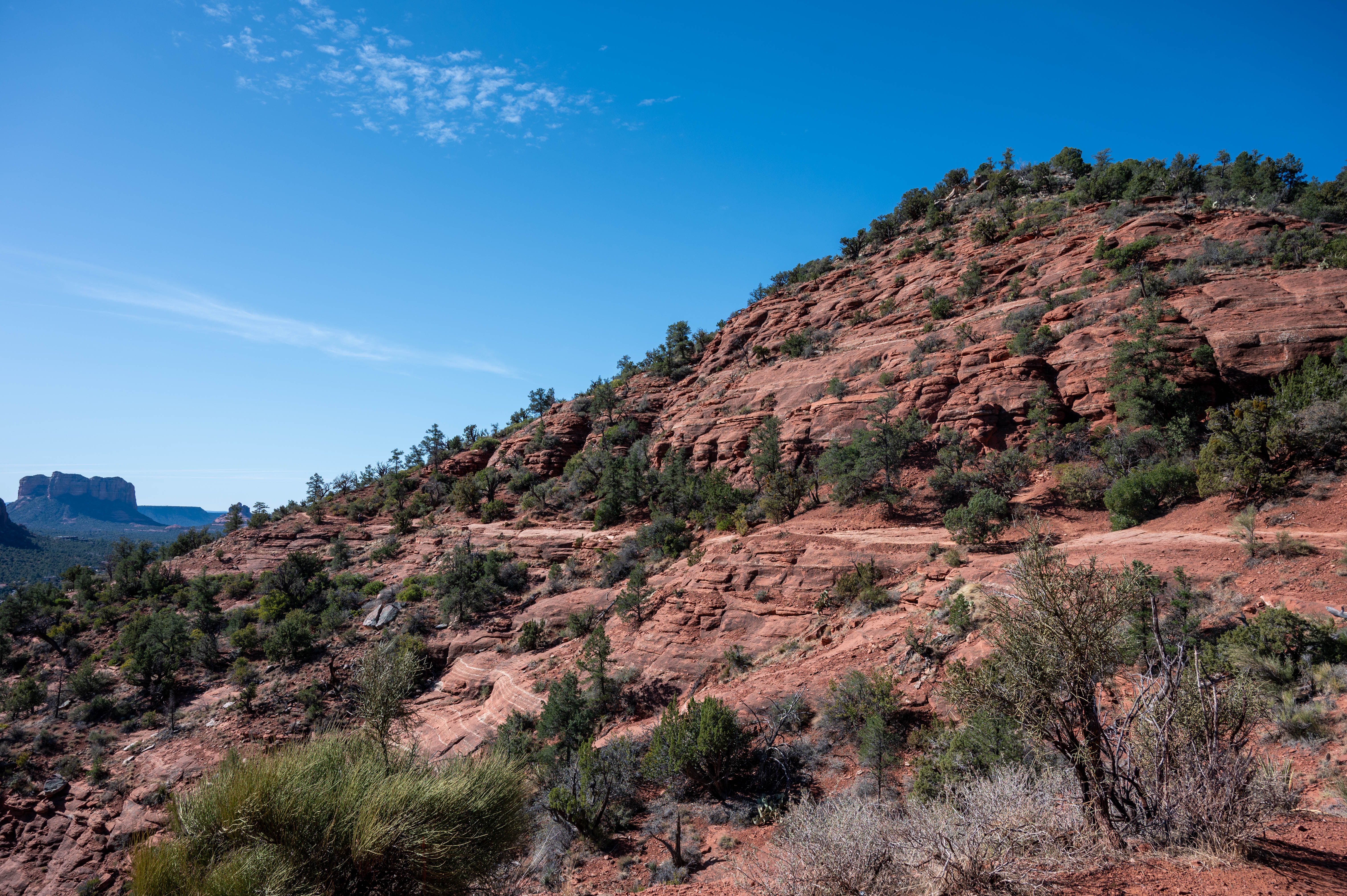 5 Day Private Weight Loss & Vitality Reset Retreat in Sedona, US 3