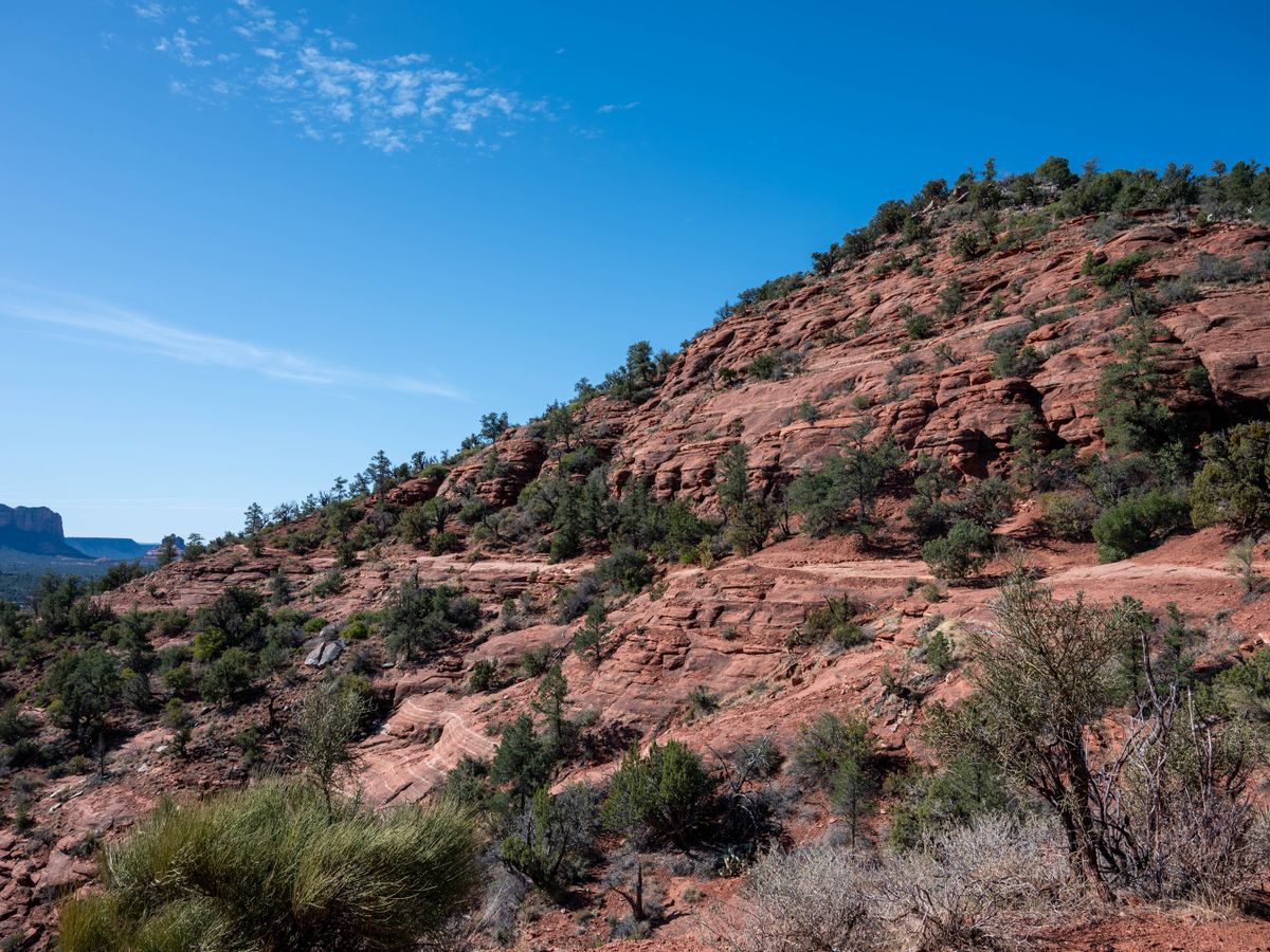 5 Day Private Weight Loss & Vitality Reset Retreat in Sedona, US 3
