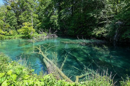 Free Tranquil forest scene with a clear turquoise lake reflecting lush greenery, perfect for nature themes. Stock Photo
