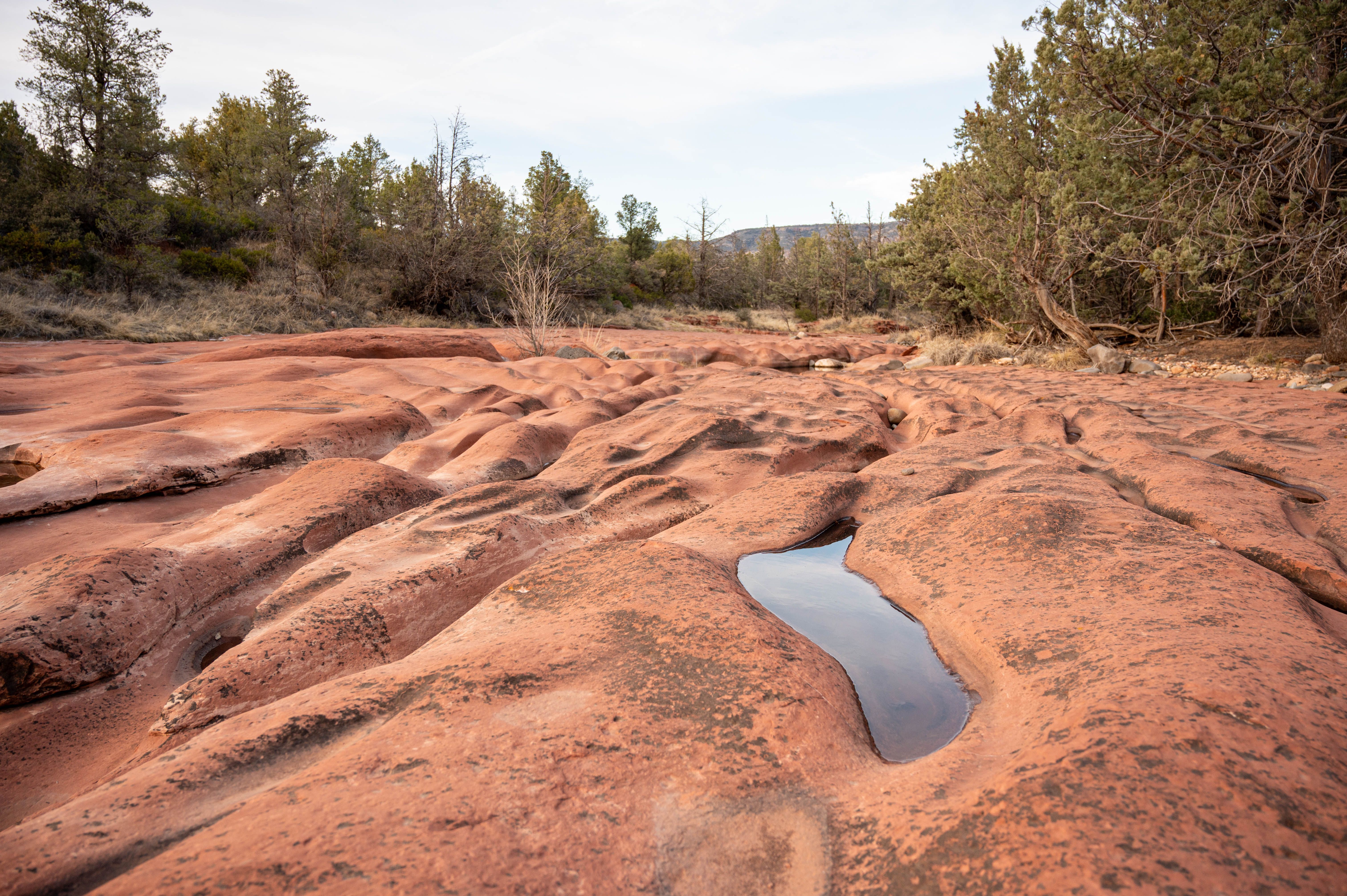 3 Day Ancestral Medicine Retreat for Women in Arizona 1