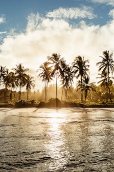 A serene tropical beach at sunrise with palm trees and golden sunlight creating a tranquil atmosphere.