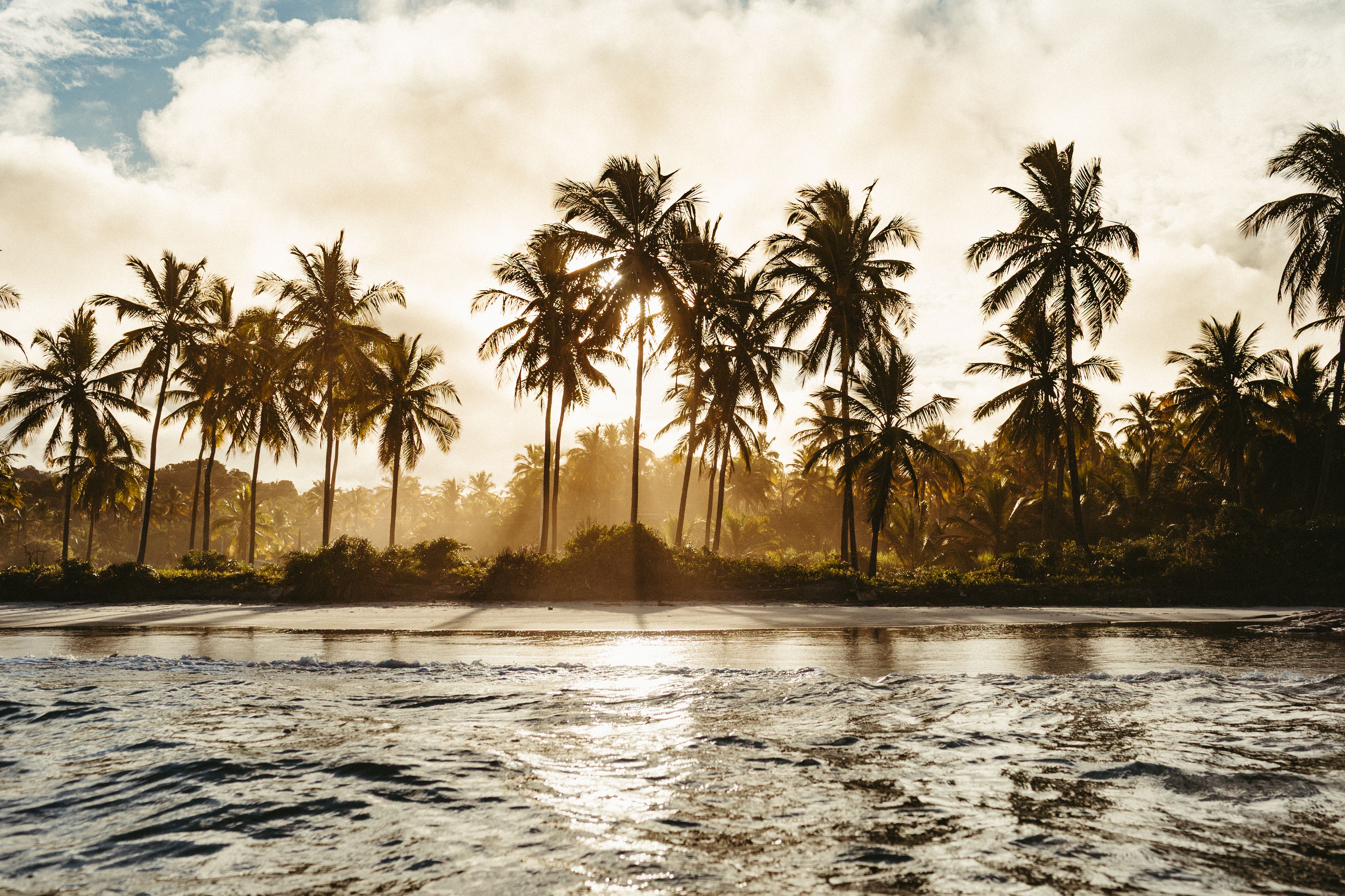 Tropical Beach Sunset with Palm Trees · Free Stock Photo