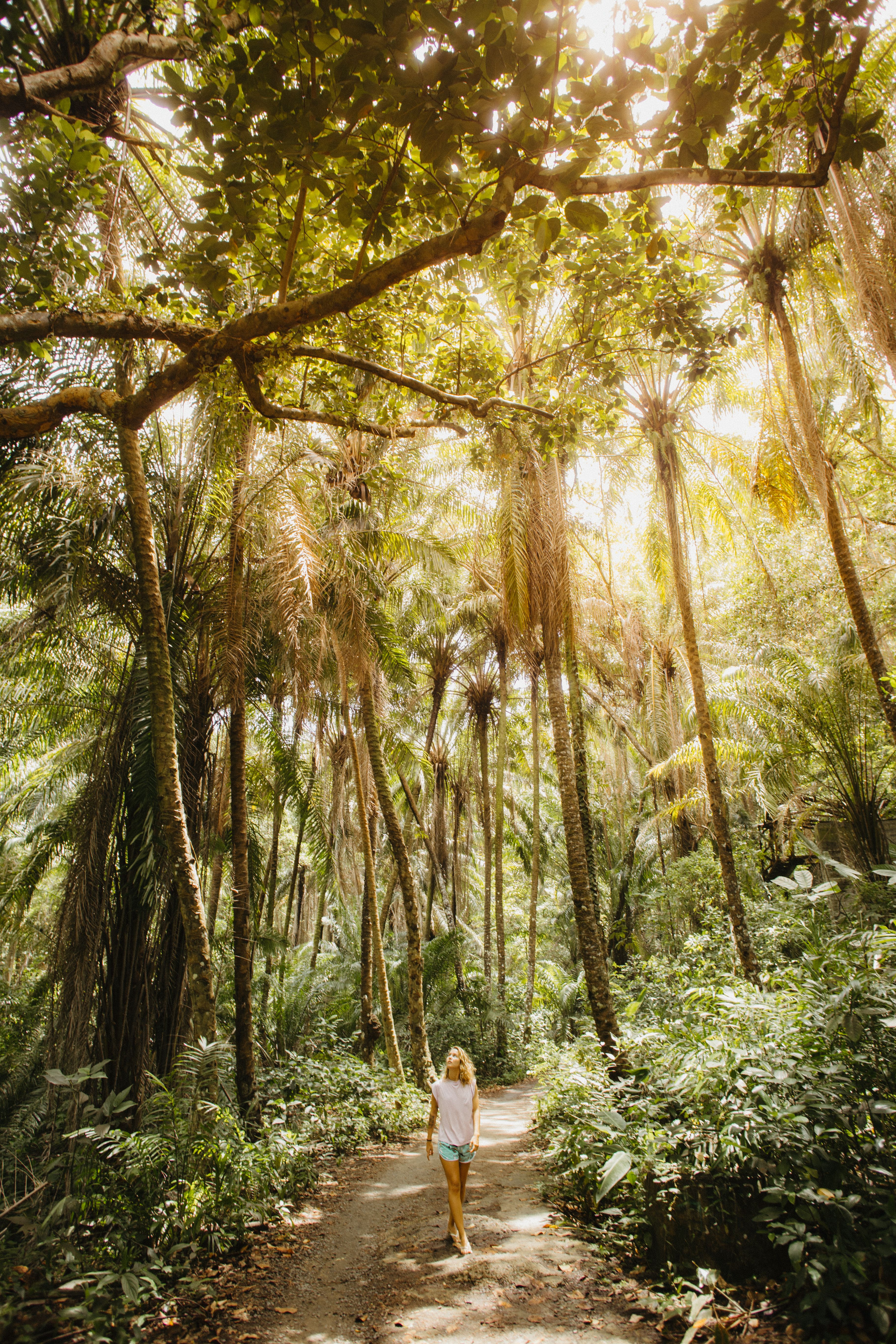 Woman Walking Through Lush Tropical Forest · Free Stock Photo