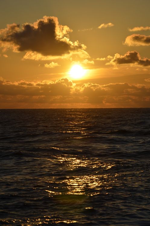 Stunning Golden Sunset Over Ocean Waves · Free Stock Photo