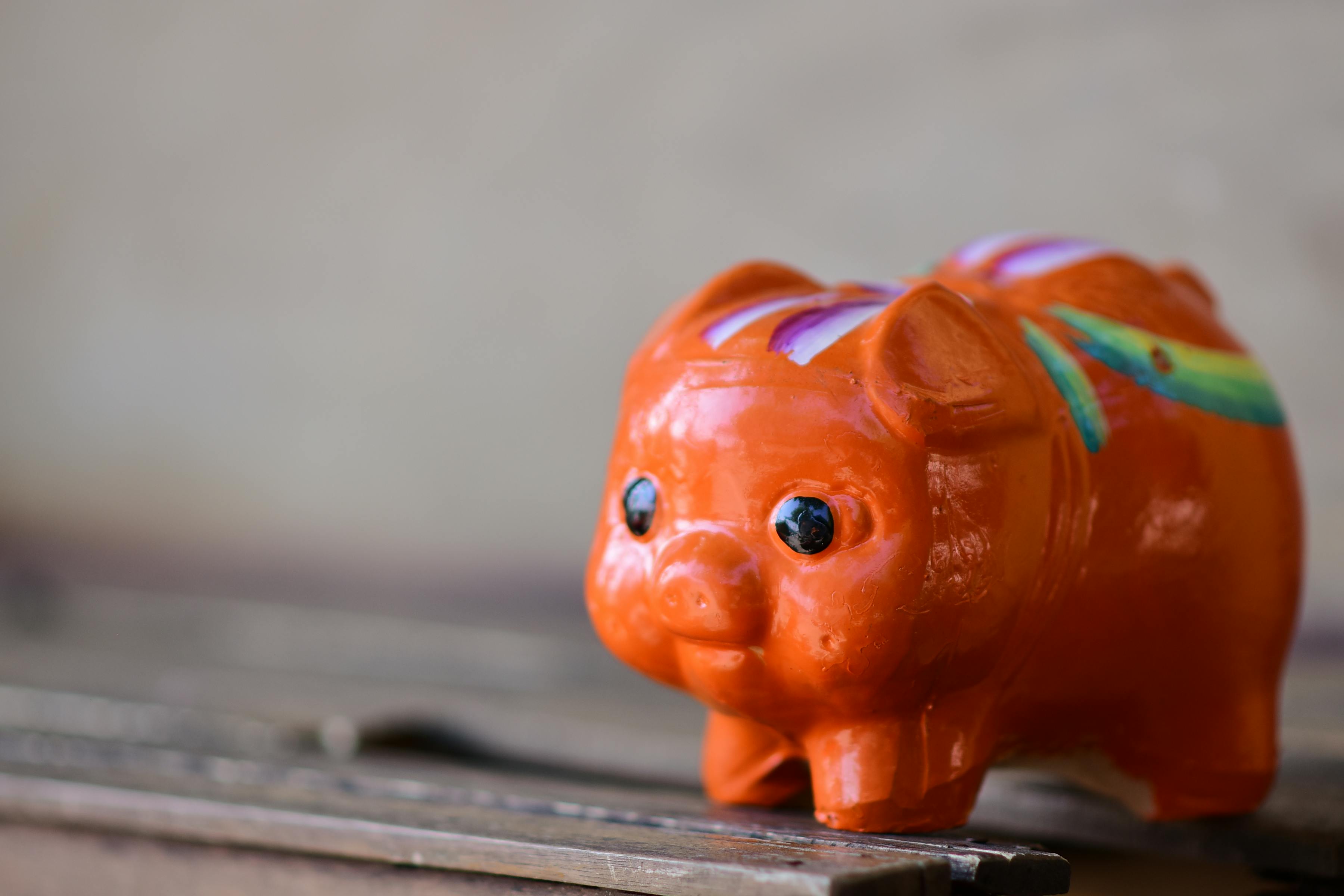 The Down Payment Reality Report