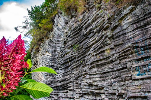 岩石, 洛斯拉德里奧斯, 火山 的 免費圖庫相片