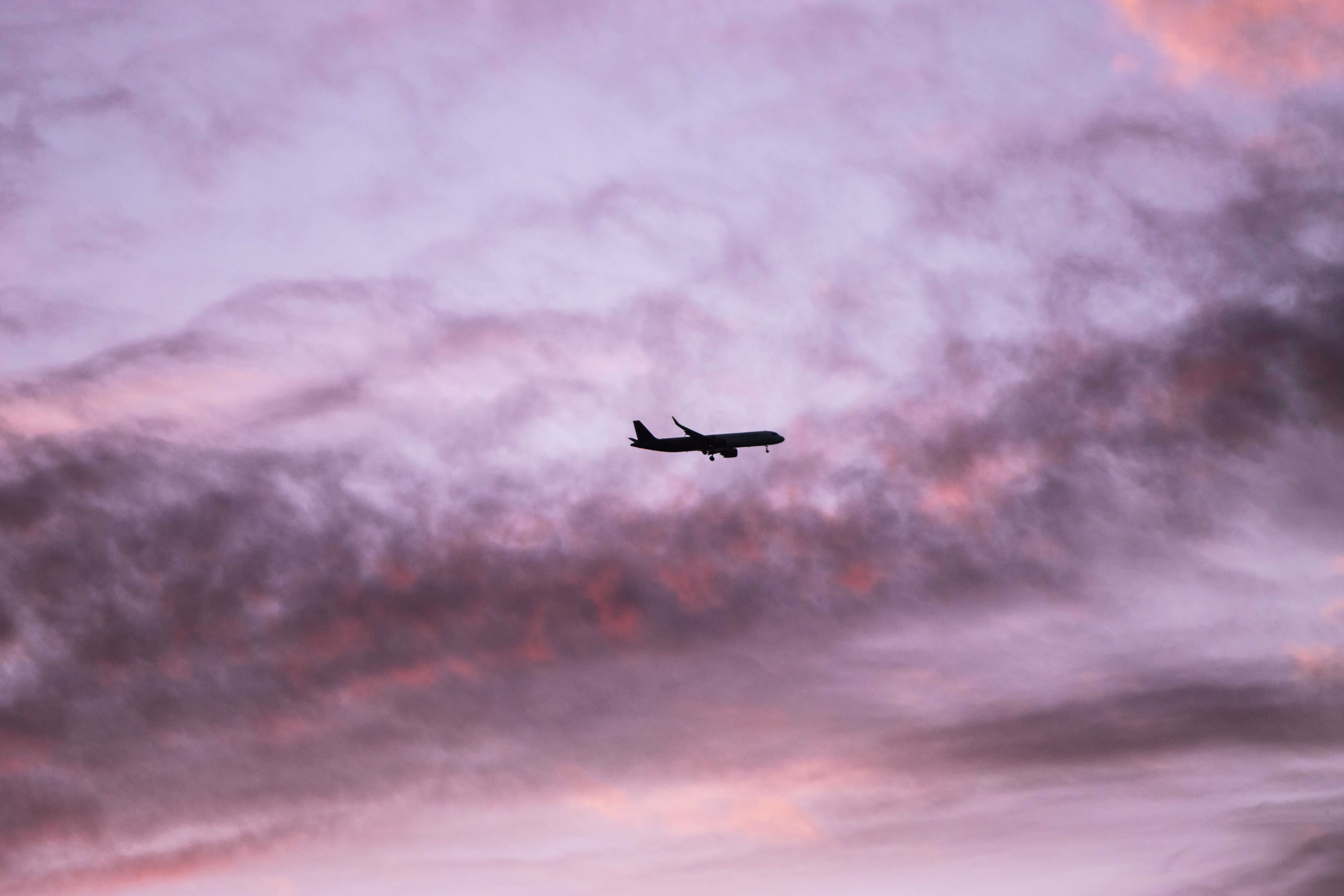 Considering Delta SkyMiles Gold AmEx? Look at General Travel Cards, Too — Photo by Efrem  Efre on Pexels