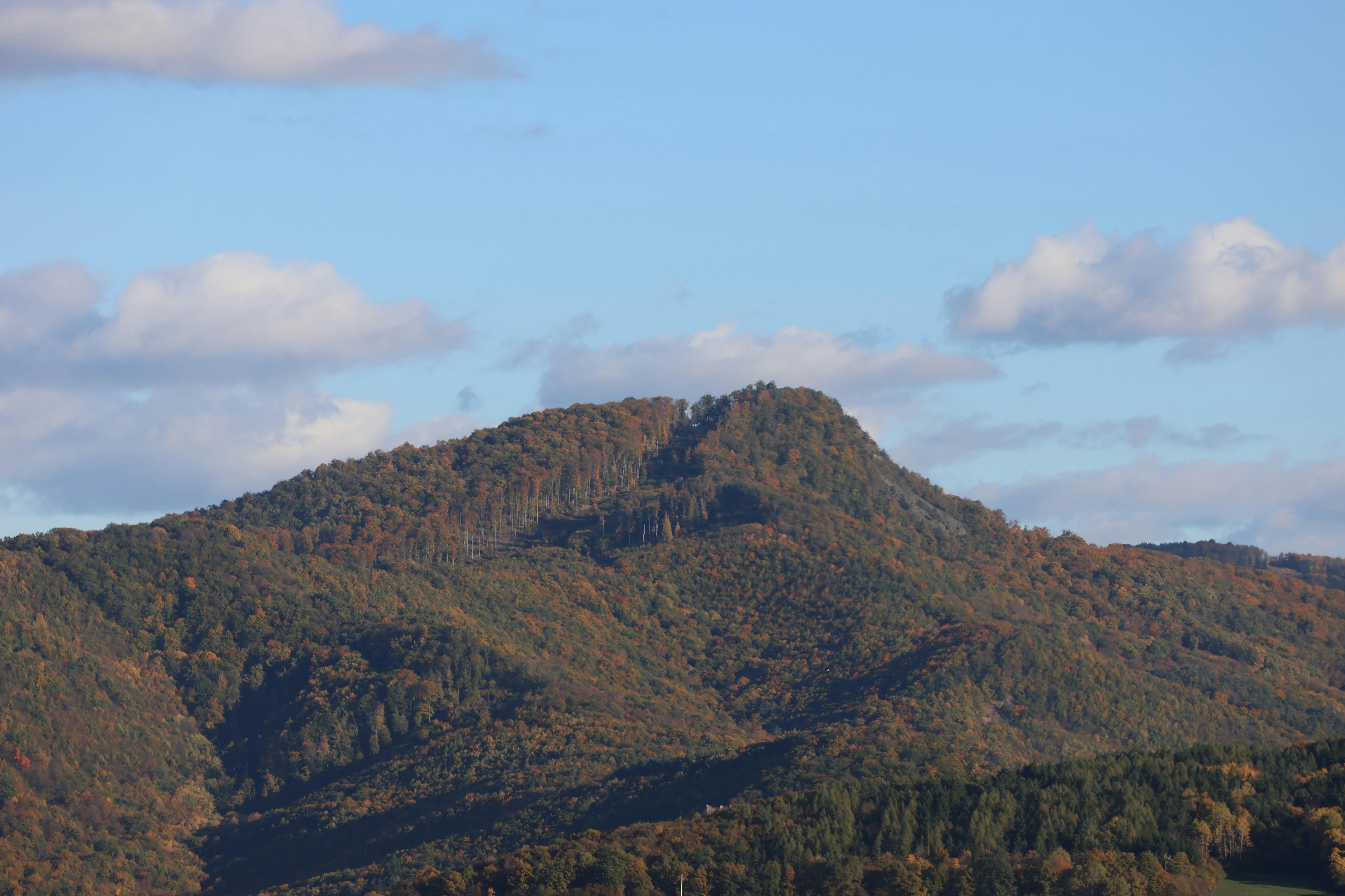 State Parks Series: Bald Eagle State Park has a plethora of outdoor recreation to choose from — Photo by Lubos Grznar on Pexe