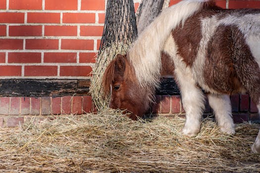 Livingstone, Zambia photo 9