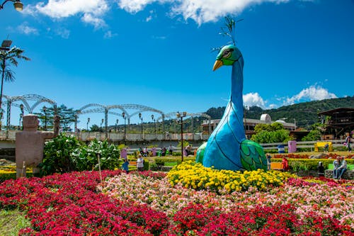 feria de flores 的 免費圖庫相片