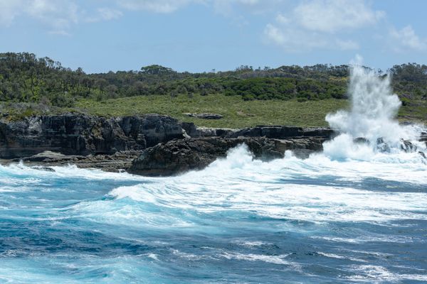 Royal National Park