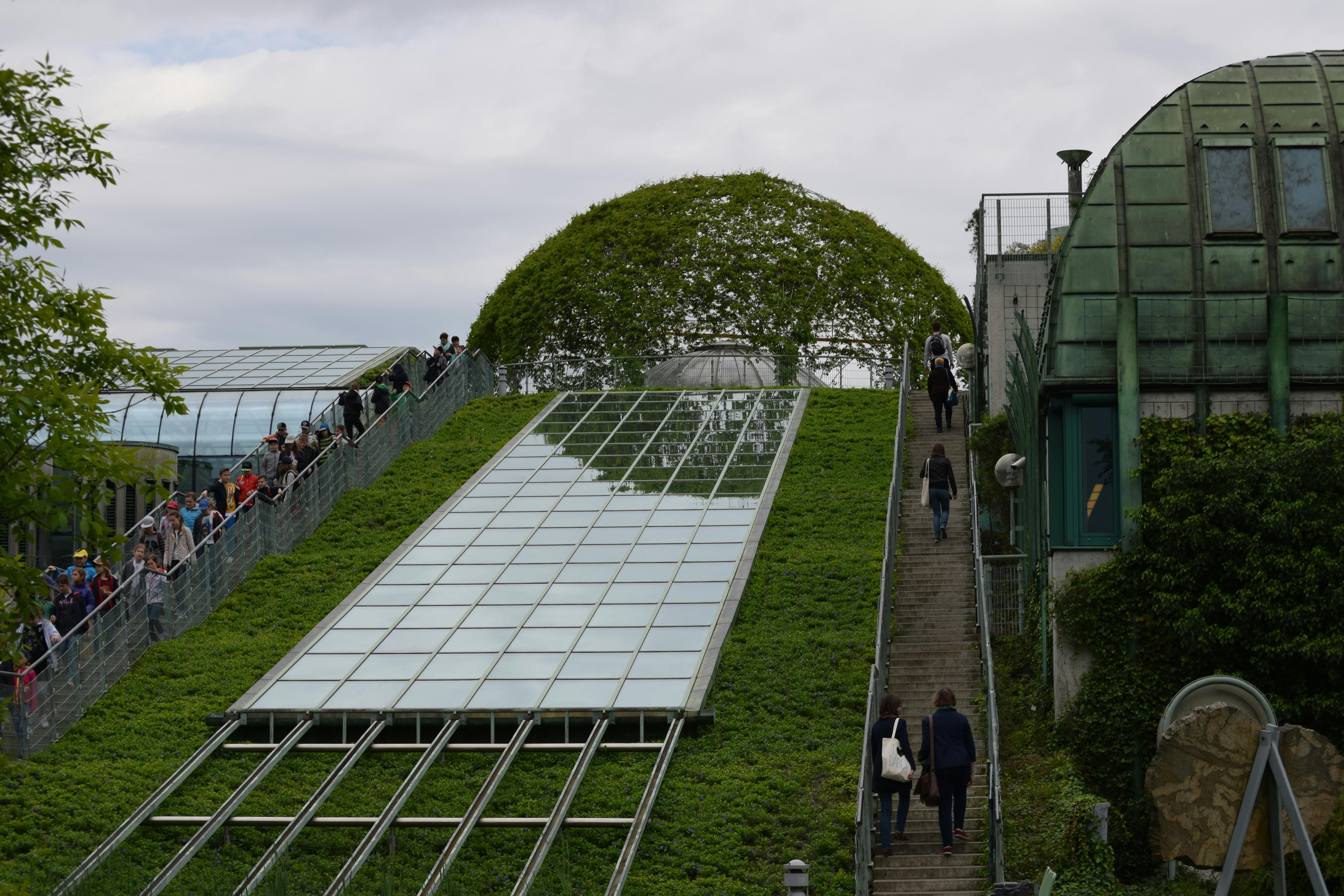 Des visiteurs se promènent sur un chemin végétalisé aménagé sur le toit du jardin botanique de Varsovie.