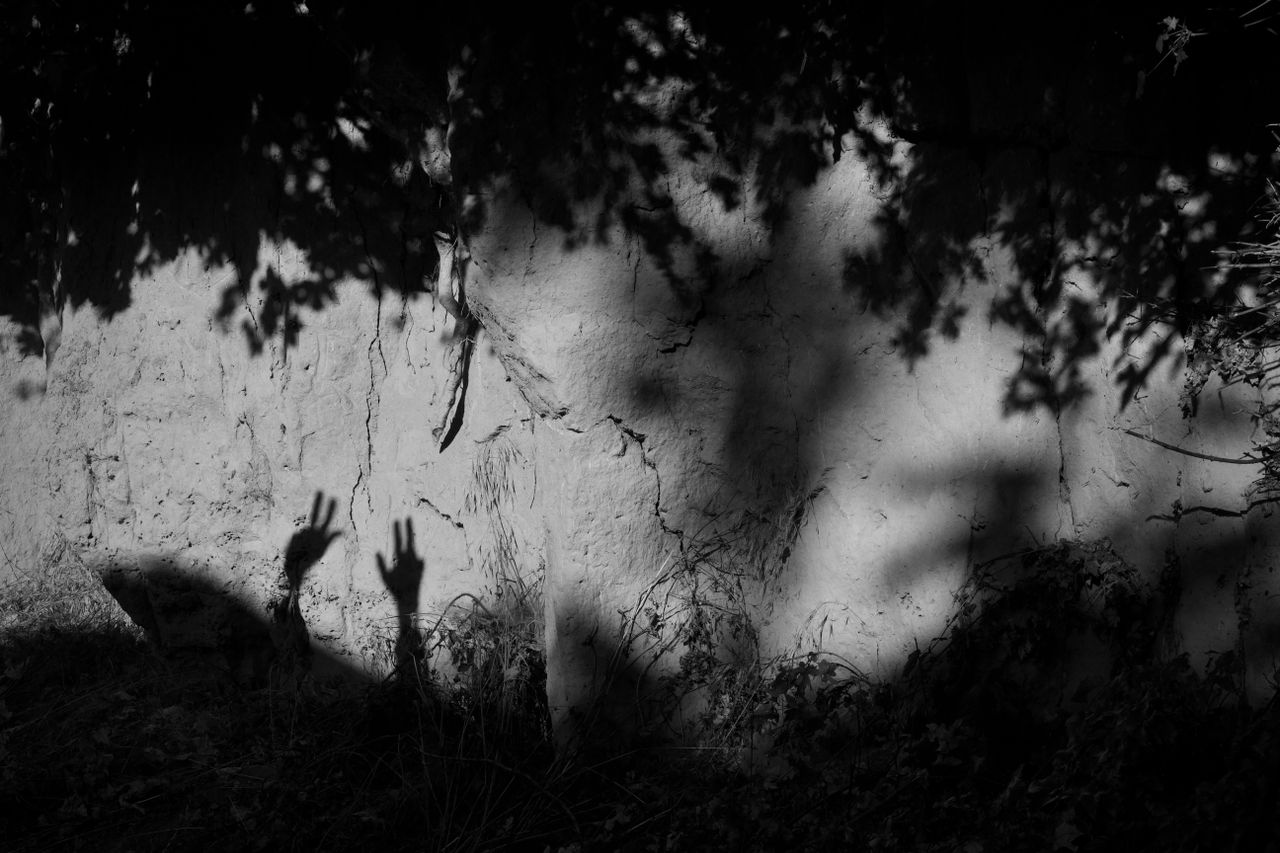 intriguing shadows of hands and branches create a mysterious scene on