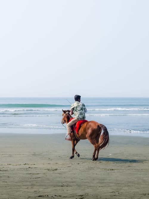 Free Person enjoying horseback ride along serene beach with ocean view. Stock Photo