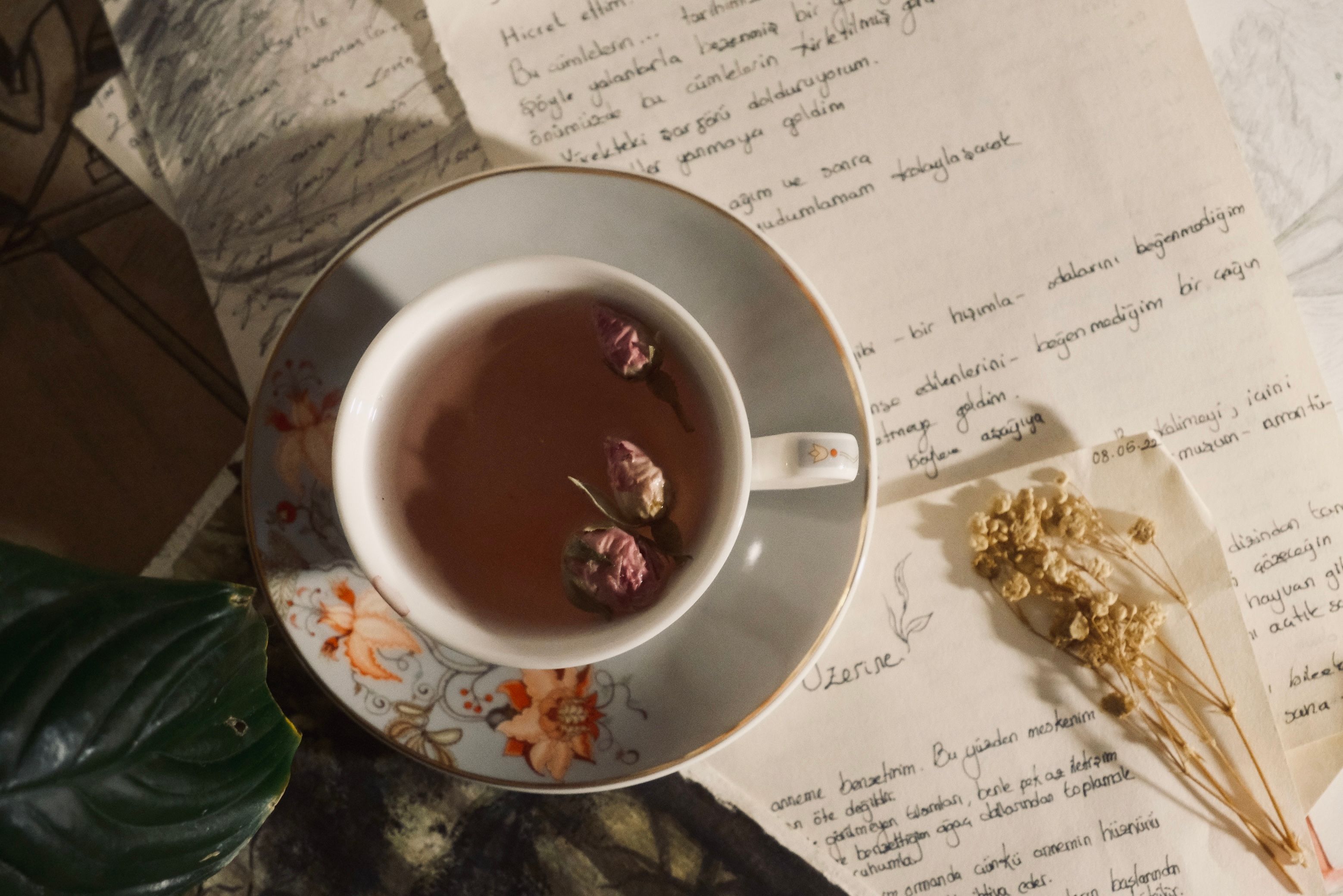 person reviewing handwritten notes with a cup of tea, soft lighting