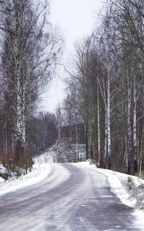 Free A winter road with snow, flanked by tall bare birch trees, creating a serene landscape. Stock Photo