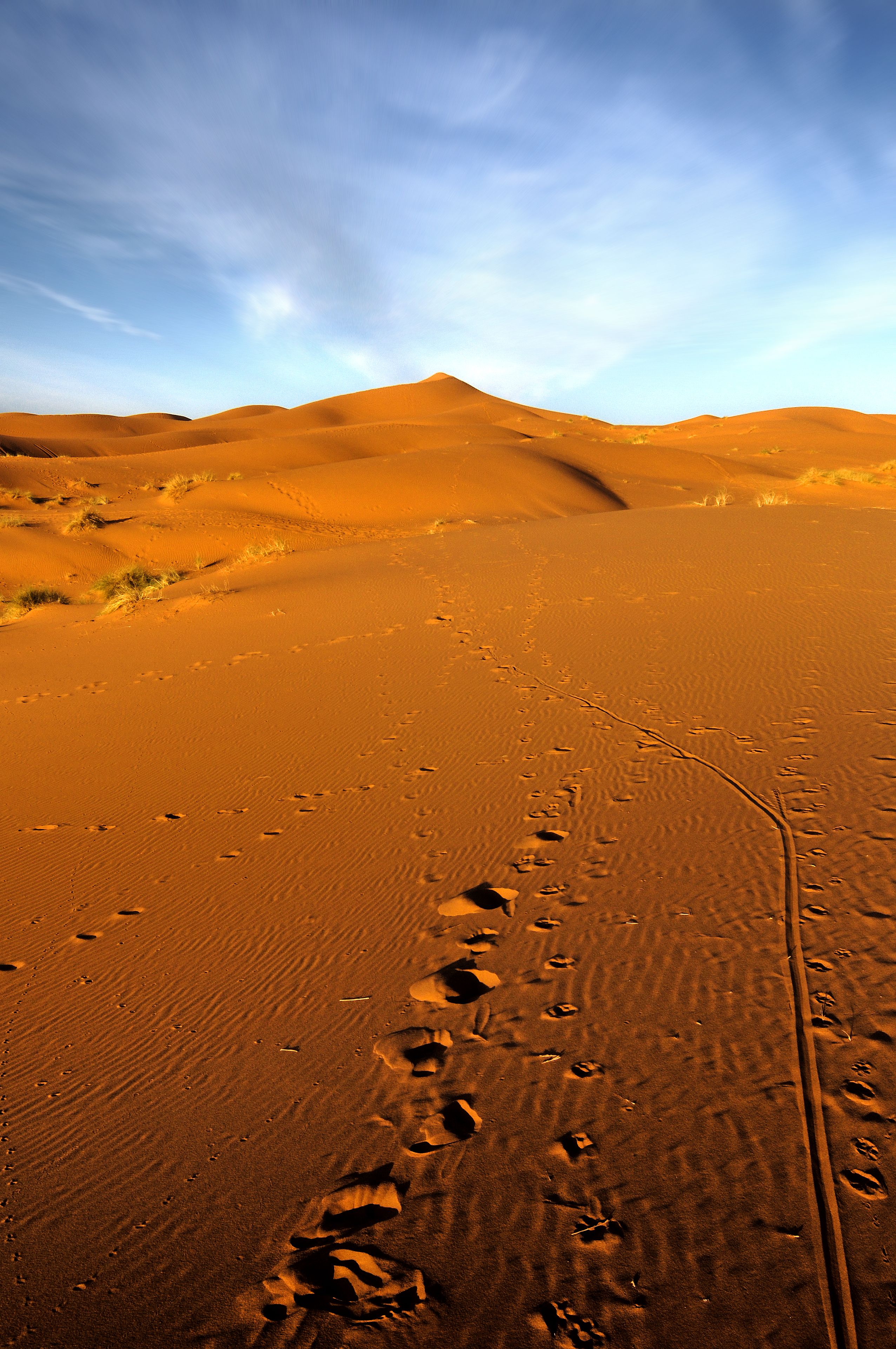 6-Day Casablanca to Marrakech Desert Tour