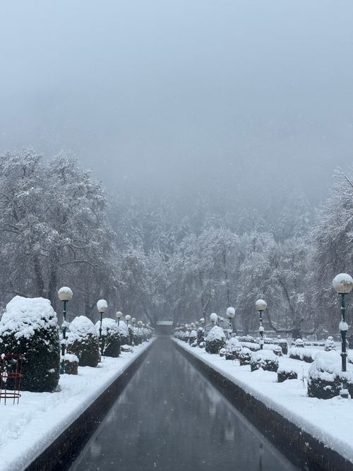 Free Serene winter scene with snow-covered pathway and trees in Verinag, Kashmir. Stock Photo