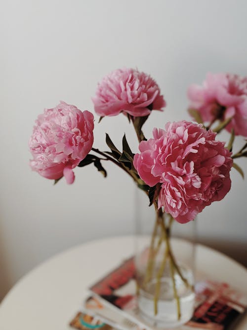 Pink Flowers in Clear Glass Vase