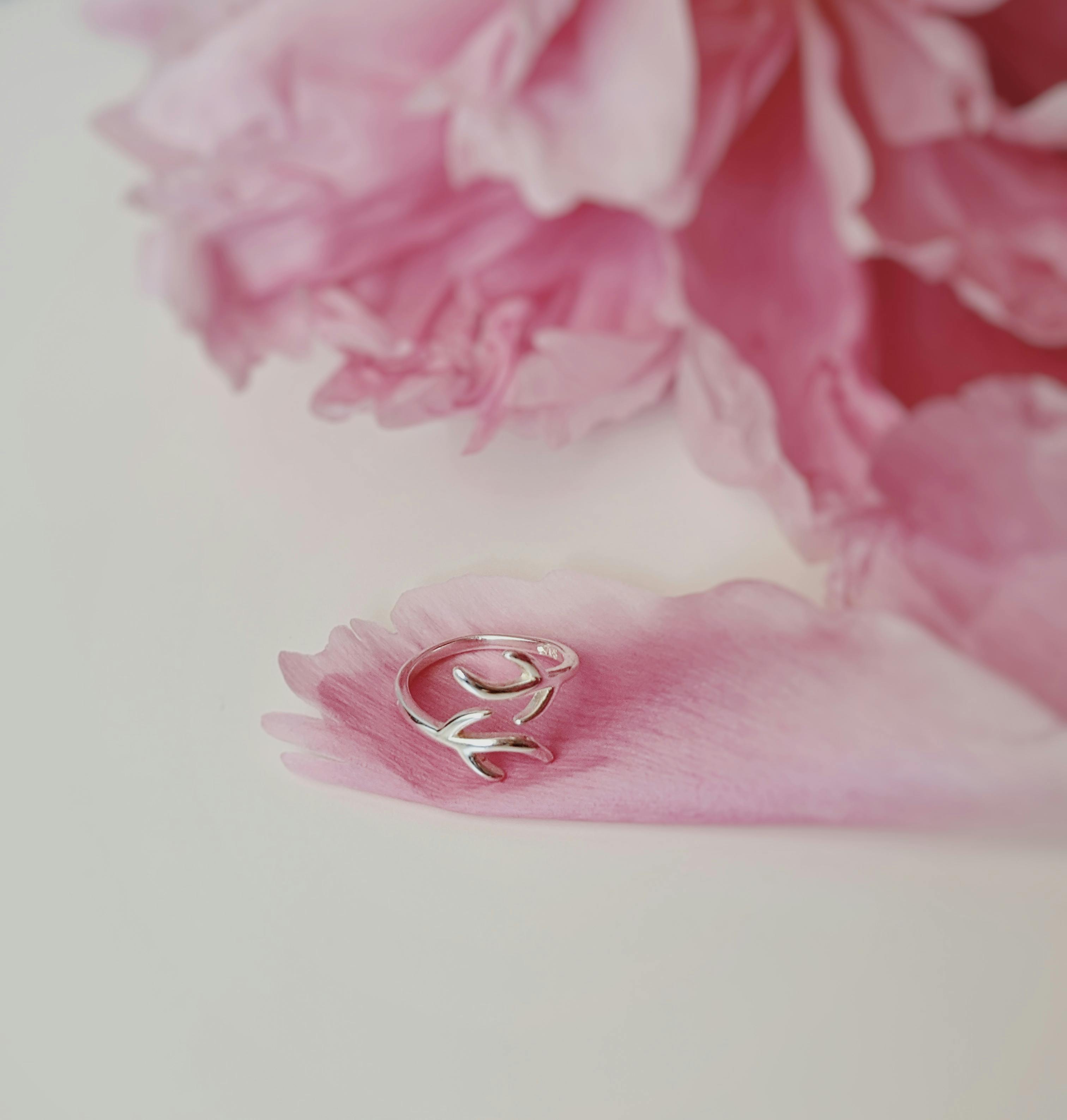 Close-up of a silver ring resting on a pink flower petal, showcasing elegance and simplicity.