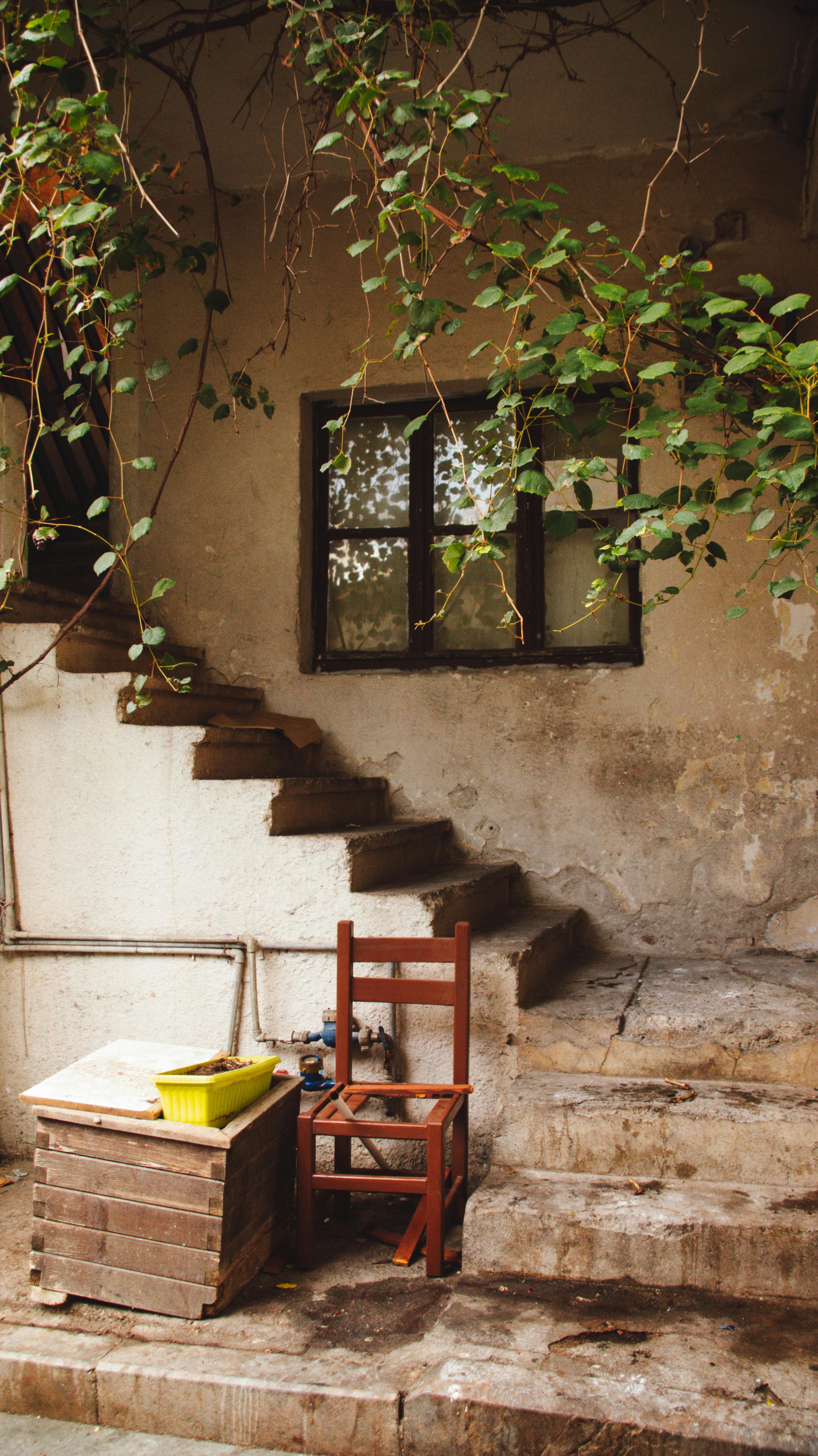 Gratuit O scară vintage înconjurată de verdeață luxuriantă, creând o atmosferă rustică primitoare. Fotografie de stoc