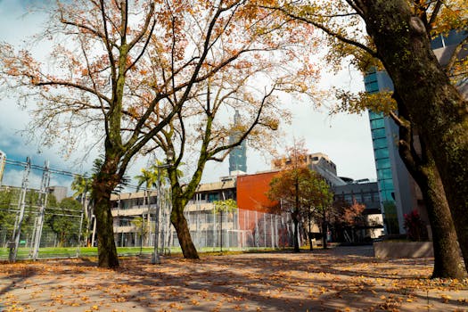 Autumn foliage in a cityscape near Taipei 101 in Taipei, Taiwan.