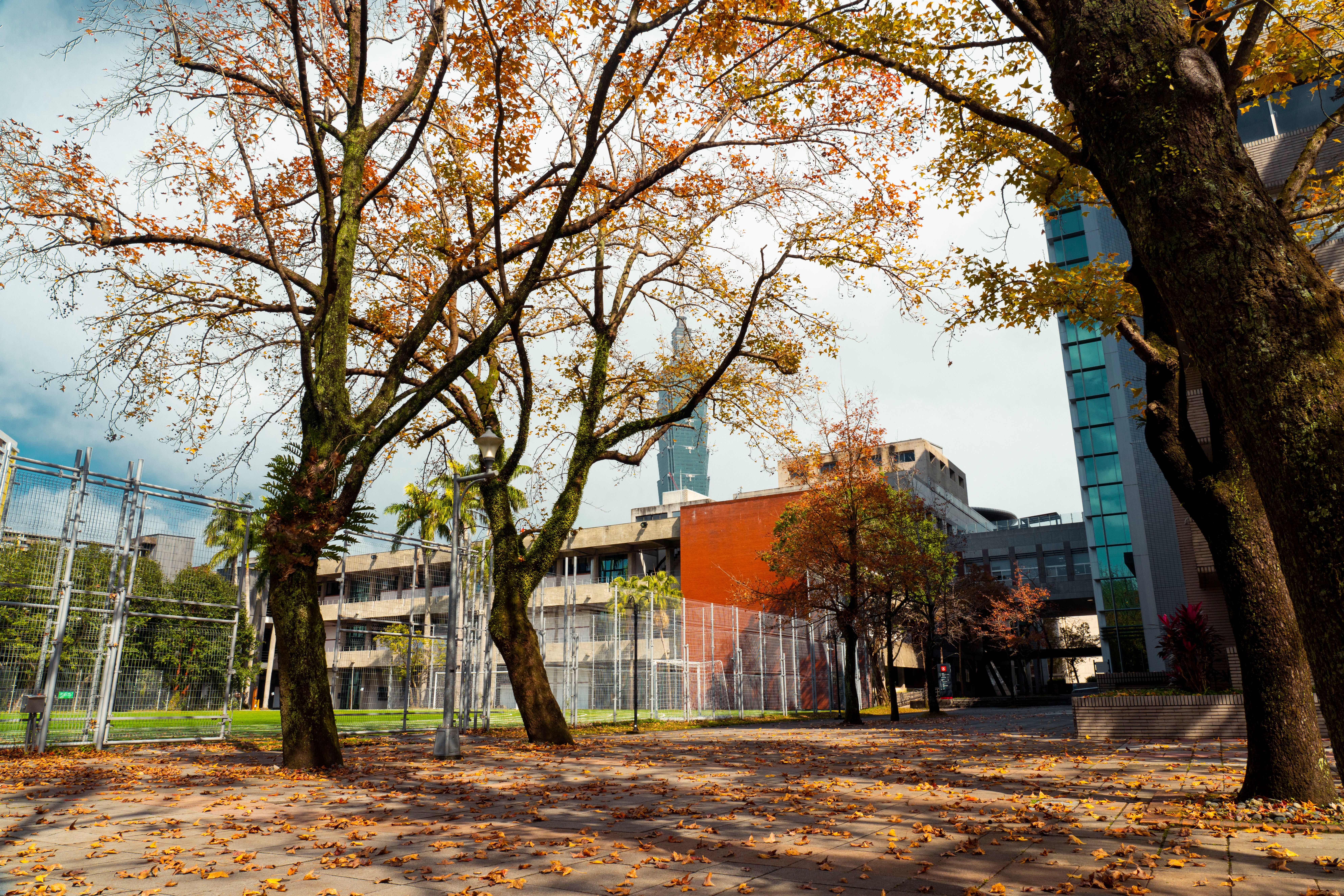 Autumn Scene in Taipei with Taipei 101 Tower · Free Stock Photo