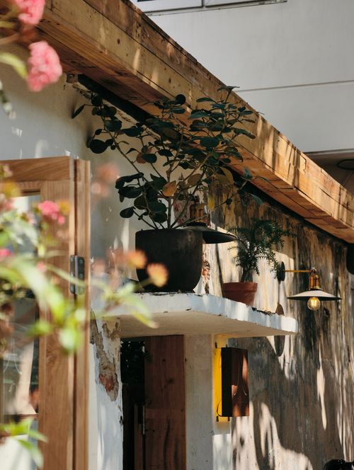Free Rustic cafe exterior in Haiphong featuring plants and wooden elements under bright sunlight. Stock Photo