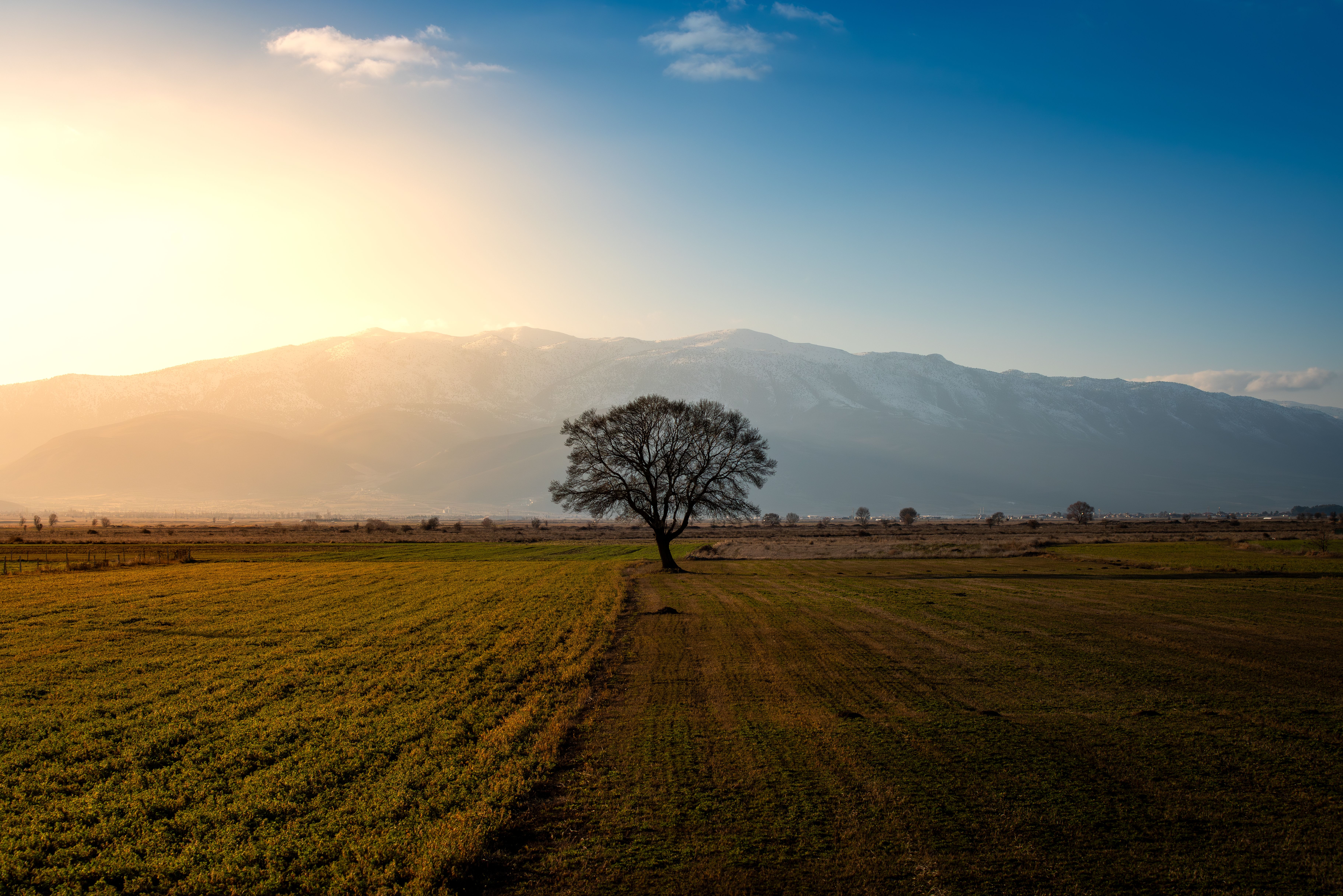 Pine Mountain field named for longtime youth sports coach — Photo by Hakan Tahmaz on Pexels