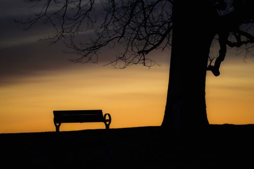 Free A peaceful sunset with silhouettes of a bench and tree casting shadows. Stock Photo