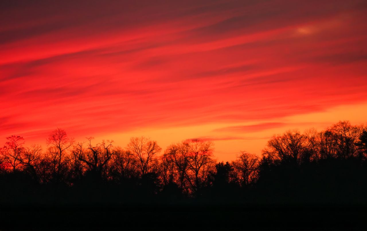 captivating red sunset with silhouetted trees creating a dramatic scen