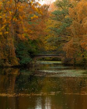 Peaceful autumn in Tiergarten, Berlin showcasing vibrant foliage and a tranquil bridge reflection.