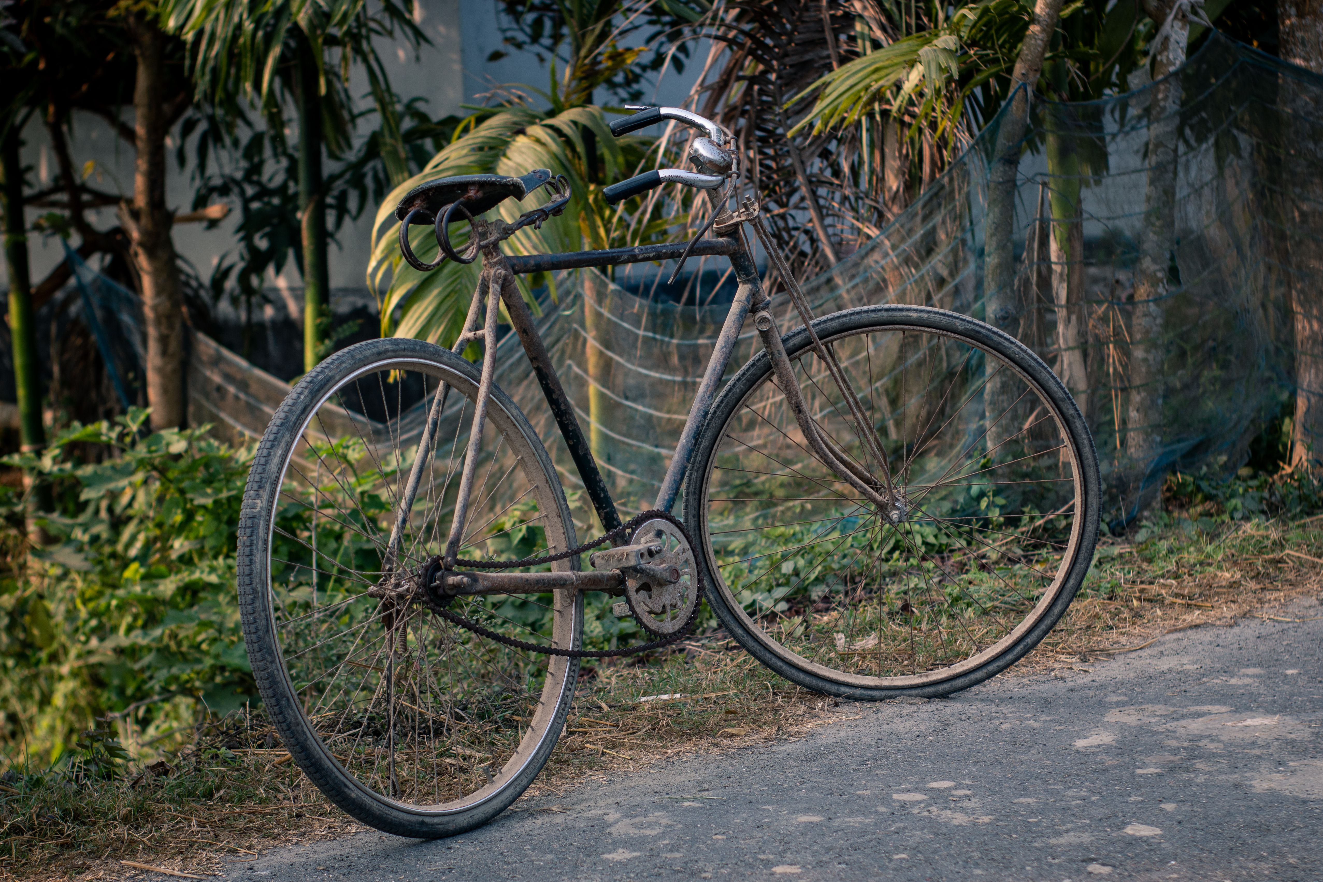 Vintage Bicycle in Rustic Outdoor Setting · Free Stock Photo