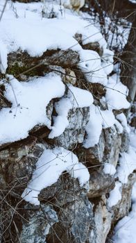 Close-up of snow-covered rocks and dried plants in a winter setting.
