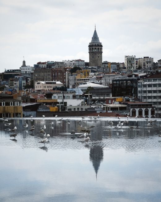 ¡Vuelos a Estambul por 194 euros ida y vuelta! No sabemos si es real pero es muy barato...