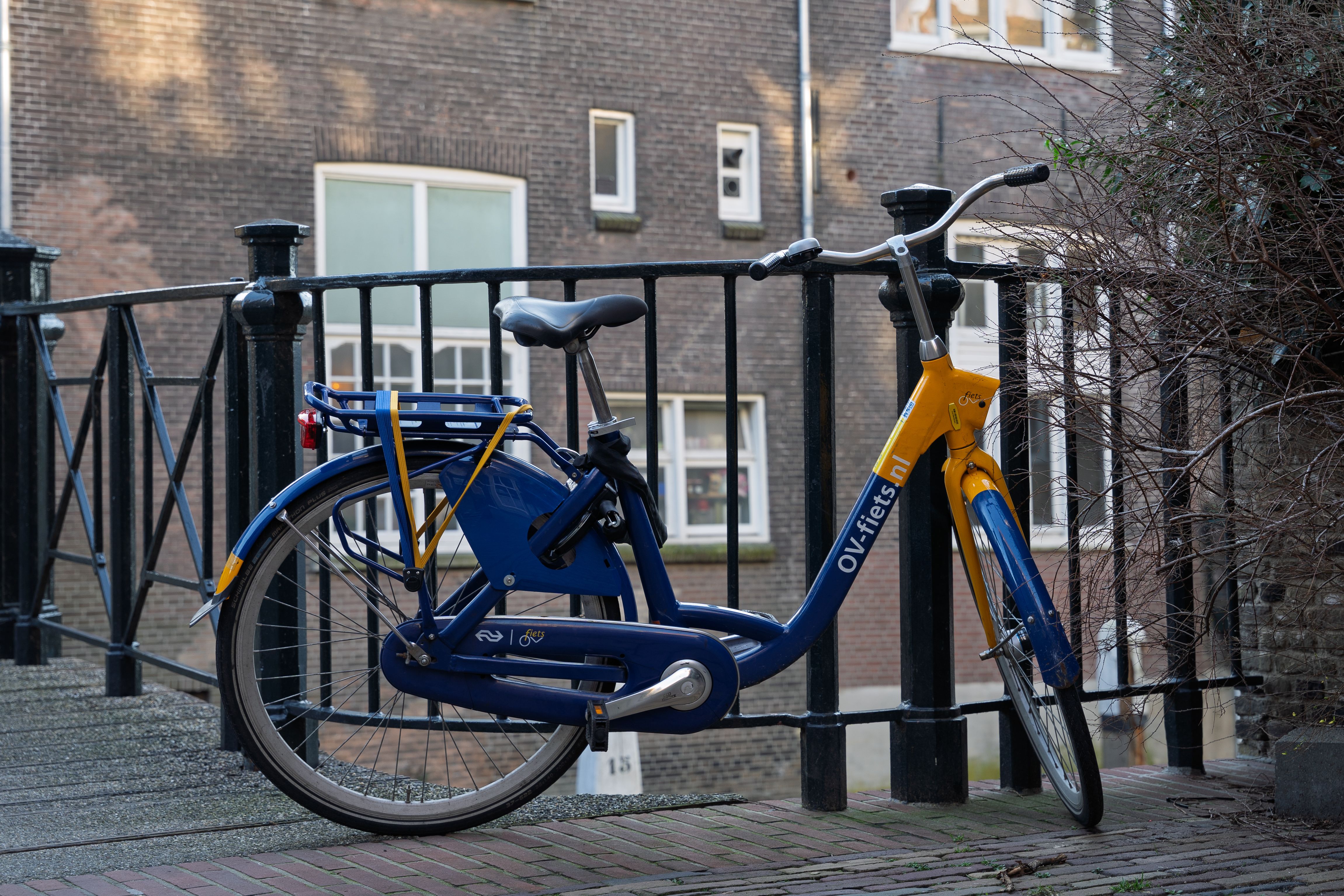 Bici olandese vs ibrida: quale scegliere per la città?