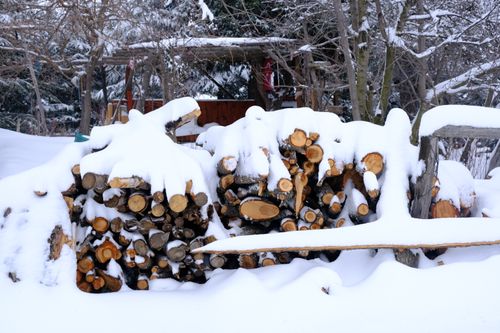 Free A pile of firewood covered with snow in a serene winter setting, emphasizing the cold season. Stock Photo