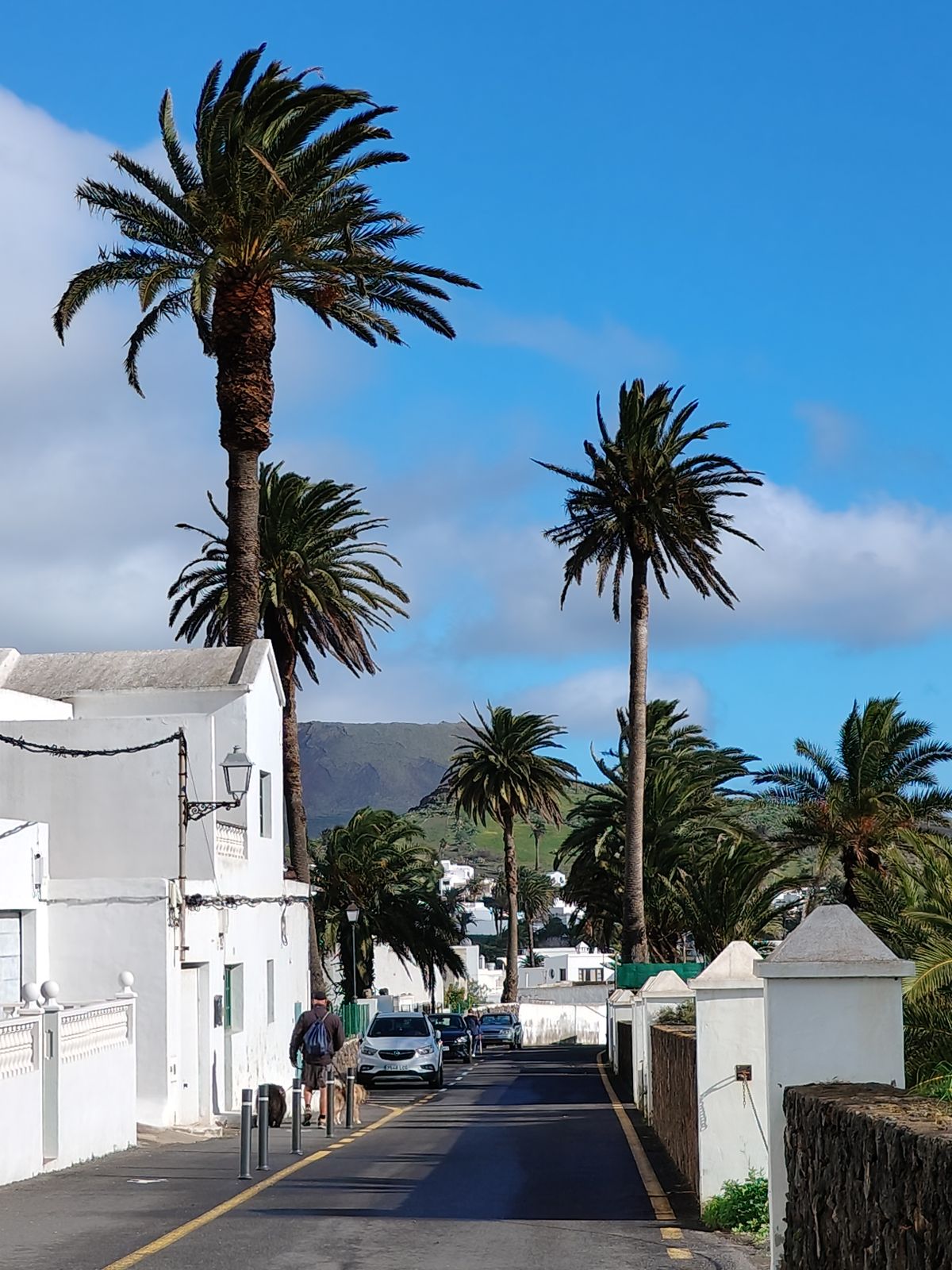 Unde te cazezi în Lanzarote - stradă cu palmieri și case albe într-un sat din nordul insulei
