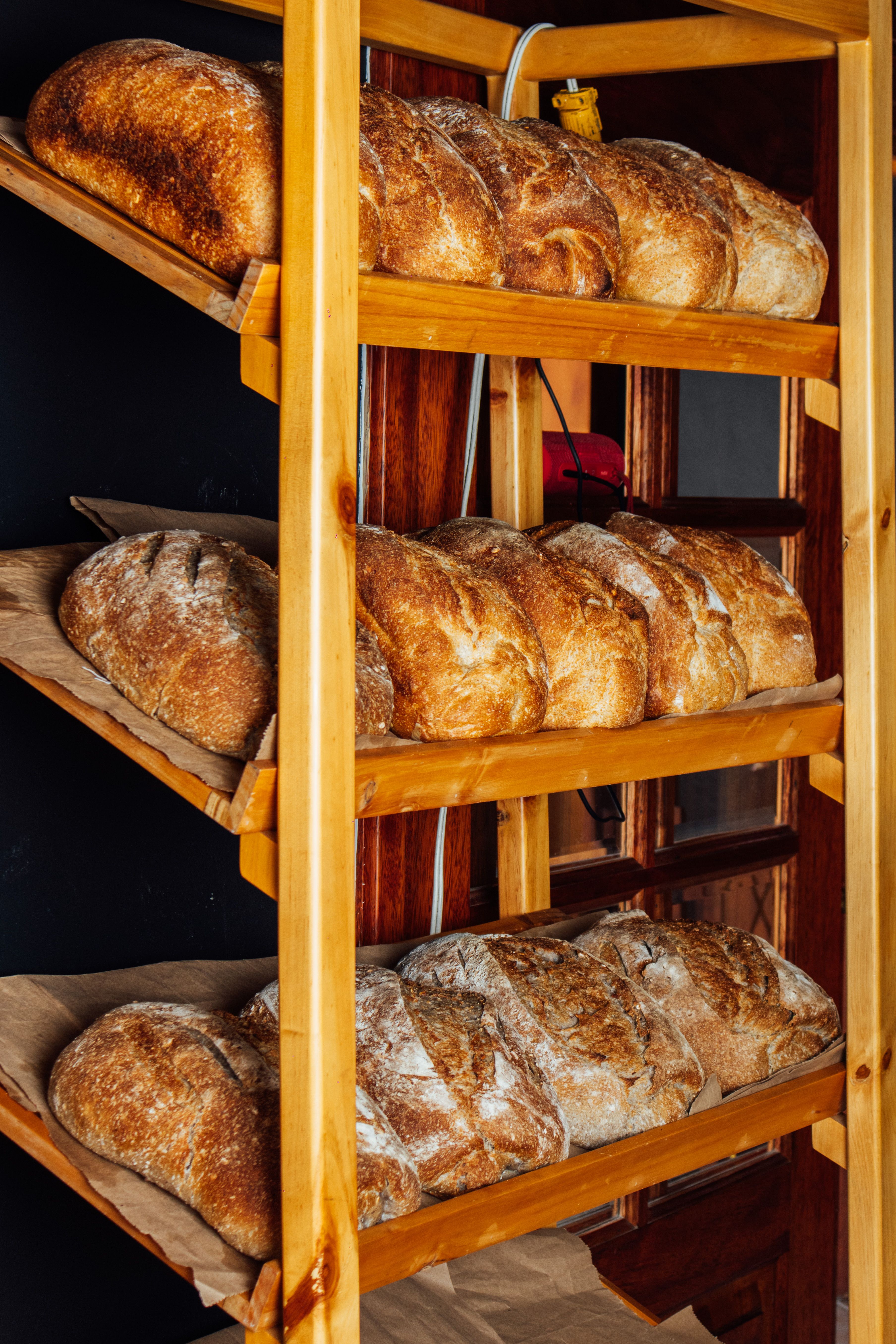 Freshly Baked Loaves on Wooden Shelves · Free Stock Photo