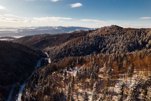 Free Stunning aerial view of snow-covered mountains and dense forest in winter. Perfect for nature enthusiasts. Stock Photo