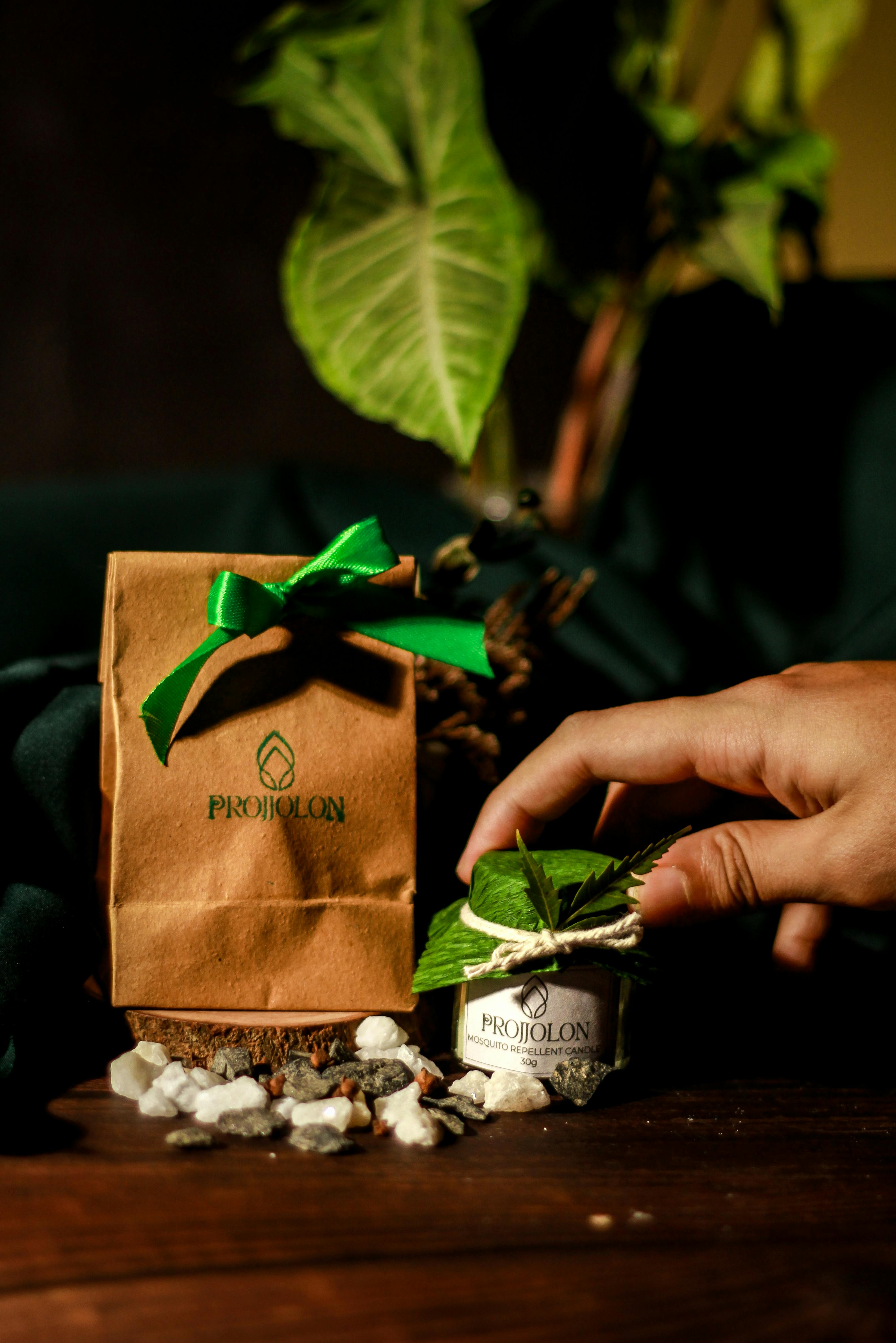 Hand holding eco candle with organic packaging and plant decor.