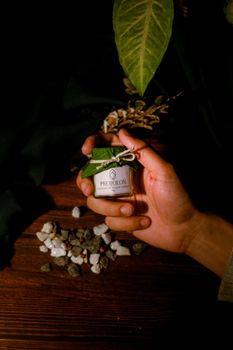 Hand holding an eco-friendly candle with natural elements in Dhaka, Bangladesh. - Fotografer Sidoarjo