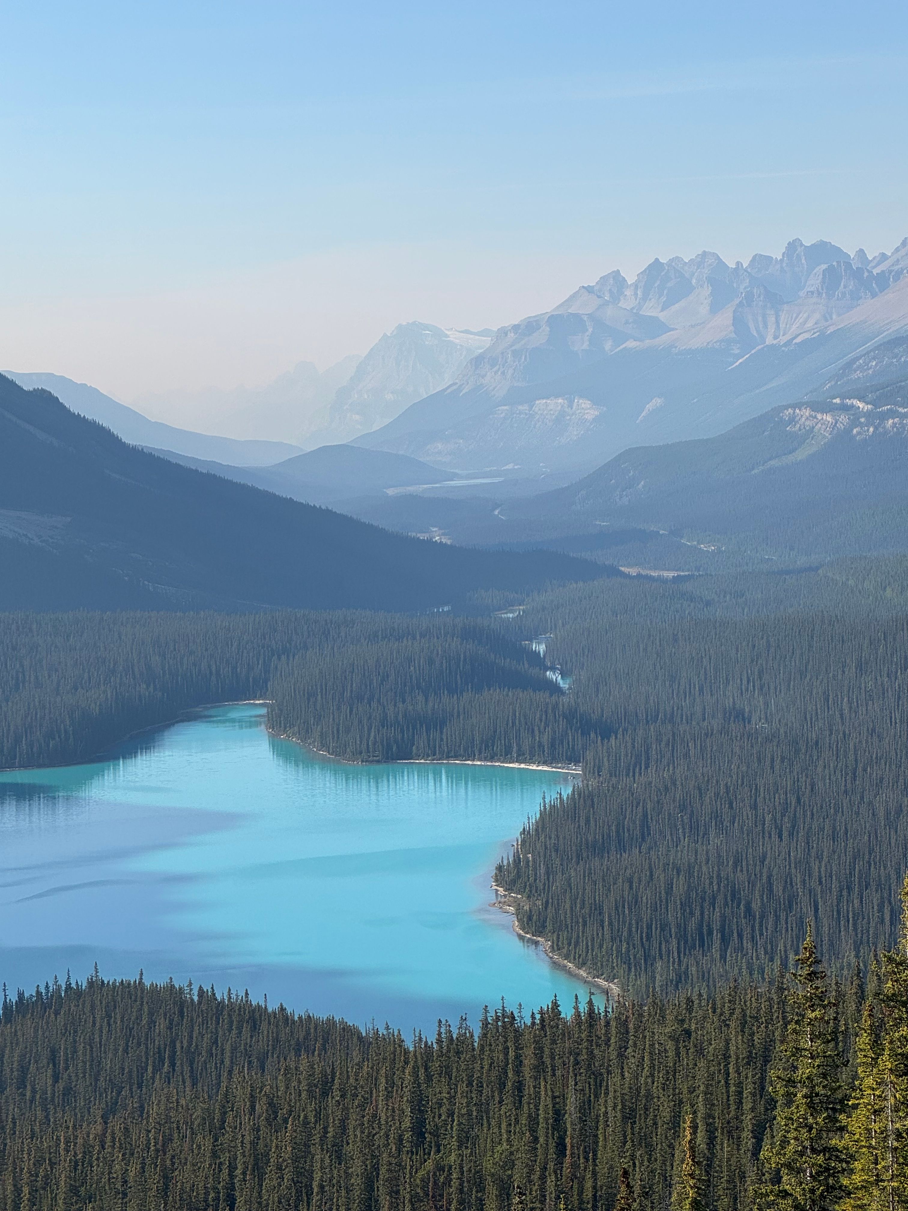 Scenic View of Peyto Lake in Banff National Park · Free Stock Photo