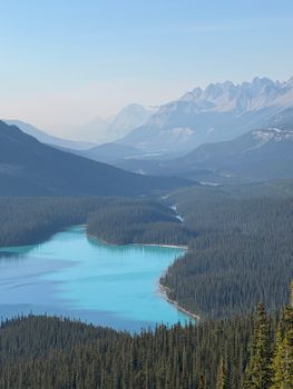 Breathtaking view of turquoise Peyto Lake surrounded by Canadian Rockies in Banff National Park, Alberta.