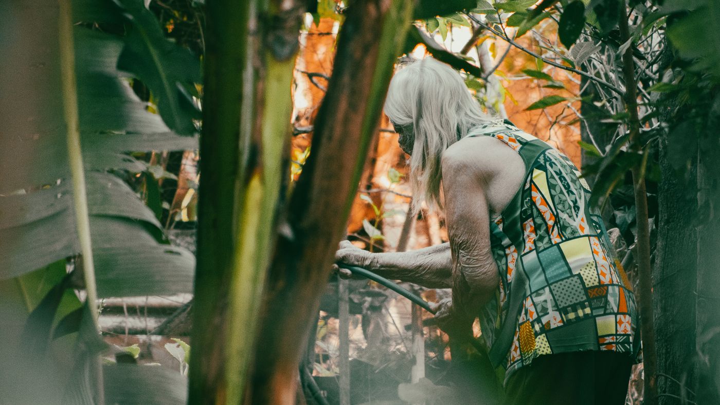 How Long Can You Expect to Live — And What Actually Determines It