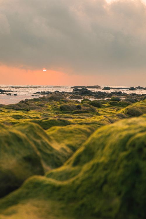 Free Serene view of moss-covered rocks by the sea during a vibrant sunset in Quảng Trị, Vietnam. Stock Photo