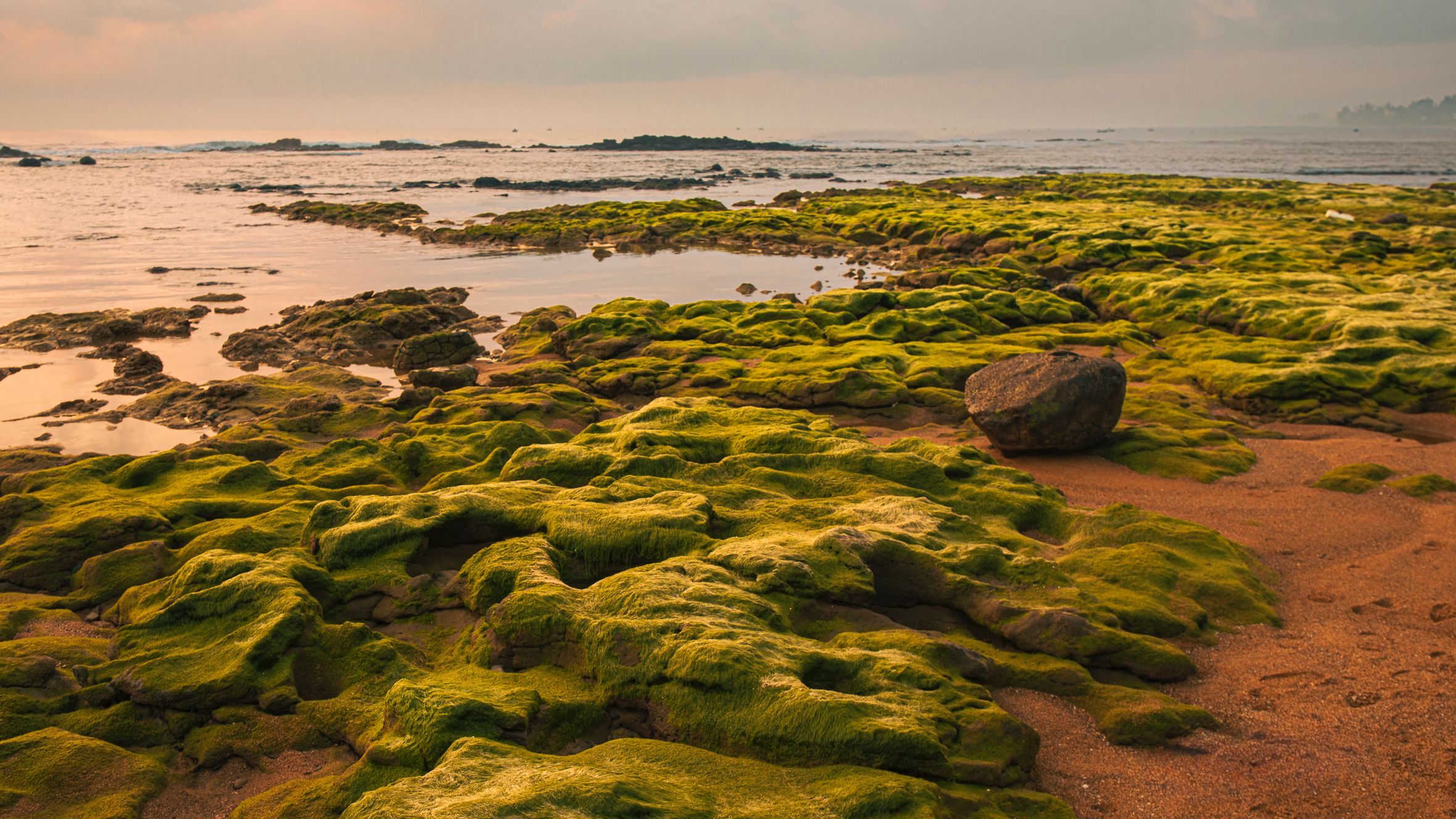 Captivating view of moss-covered rocks along the Quảng Trị coast during sunset, showcasing natural beauty.