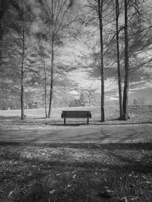 Free A tranquil black and white photo of a bench in Blythewood, South Carolina park, surrounded by bare trees. Stock Photo